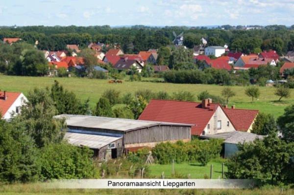 Ferienwohnung Hafftraum 리에프가르텐 외부 사진